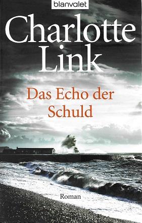 Link, Das Echo der Schuld.