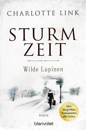 Link, Sturmzeit.