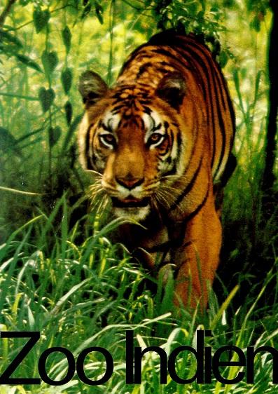 Kurt/Dolder, Zoo Indien.