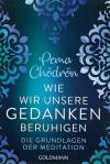 Chödrön, Wir wir unsere Gedanken beruhigen