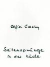 Casty, Seitensprünge in der Küche.