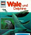 Deimer, Wale und Delphine..